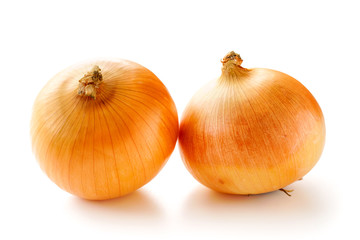 玉ねぎ　白背景