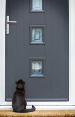 Black cat outside front door, waiting to be let inside