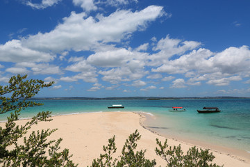 nice beach on sea shore