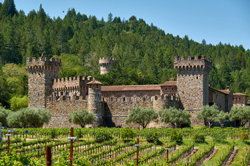 Fototapeta na wymiar Vineyards with castle in California