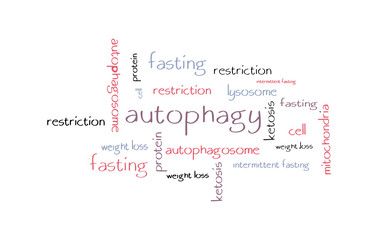 Autophagy hand-drawn word cloud concept.