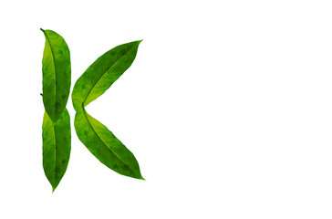 Green leaf letter K Background image. Natural Forest leaf alphabet