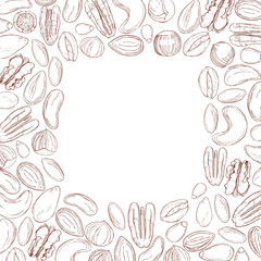  Vector background with hand drawn nuts. Sketch  illustration.