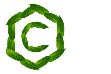 Nature concept alphabet of green leaves Logo C with hexagon shape. Letter C concept Logo.