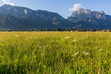 Landscape with the meadow on foreground and mountains on background in Germany