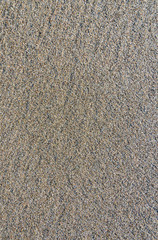 View to the sandy surface.