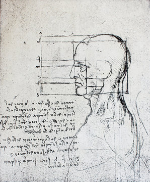 Proportions of head with notes  by Leonardo Da Vinci in a vintage book Leonard de Vinci, Eugene Muntz, 1899, Paris