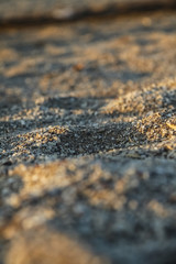  beach of the Caspian Sea