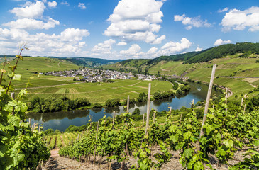 Moselschleife bei Trittenheim Rheinland-Pfalz Deutschland