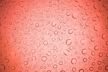 Rain droplets on red glass background, Water drops on glass.