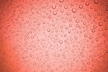 Rain droplets on red glass background, Water drops on glass.