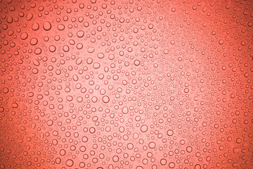 Rain droplets on red glass background, Water drops on glass.
