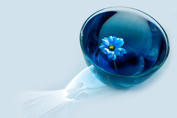 blue shadow water flower glass bright ray sun light acrylic paint astra calendula white black