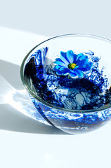 blue shadow water flower glass bright ray sun light acrylic paint astra calendula white black
