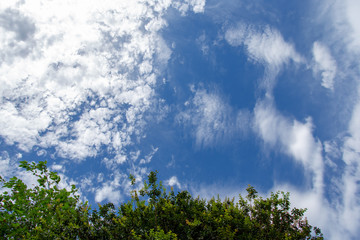 Blue Sky
