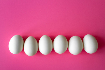 six empty white chicken eggs beside on a bright pink color background