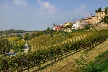 Fototapeta na wymiar Neive, Piedmont, Italy. October 2018.