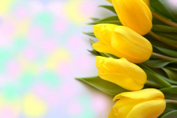 Bouquet of yellow tulips on a bright festive background, greeting card, wallpaper