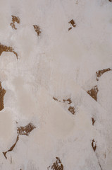 Gray stucco wall background.