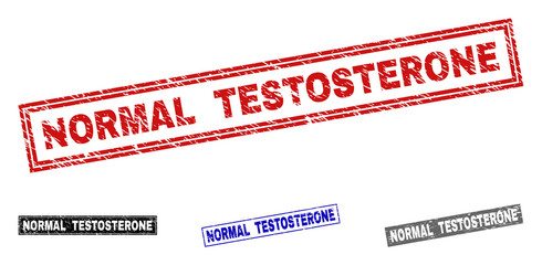 Grunge NORMAL TESTOSTERONE rectangle stamp seals isolated on a white background. Rectangular seals with distress texture in red, blue, black and grey colors.