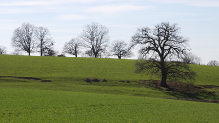 Obraz premium bocage bourbonnais