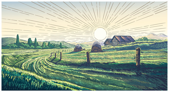 Rural landscape with dawn in village in engraving style painted in color.
