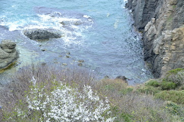 waves crashing on rocks
