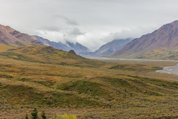 Fototapeta na wymiar Scenic Denali National Park Alaska Autumn Landscape