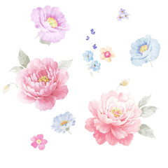 Beautiful hand drawn watercolor flower for your design and greeting cards for the holiday