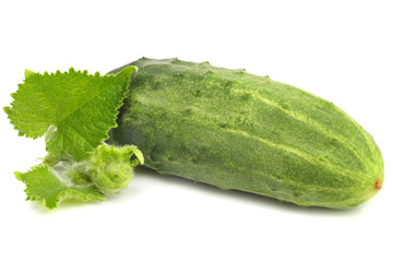 Green cucumber isolated on white background