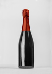 Champagne bottle isolated with color hood for label concept and more tools.