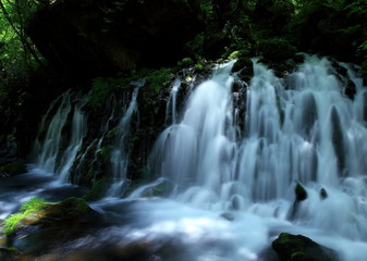 Obraz premium 夏の滝