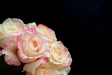 Set bouquet of white and pink roses on a black background