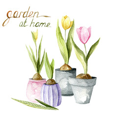 Watercolor hand drawn composition of gardening. Plants and tools. Garden at home