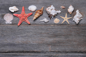 Seashells and starfish on wooden background. Copy space