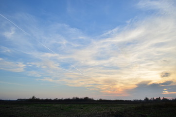 Fototapeta premium Wildlife, flowers, animals, birds, insects, sky, sunset, swans, grass, river, water