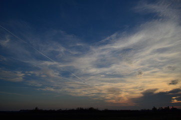  Wildlife, flowers, animals, birds, insects, sky, sunset, swans, grass, river, water
