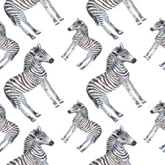 Fototapeta na wymiar Seamless pattern with hand painted zebras in watercolor on a white background.