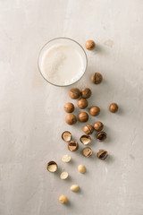 Obraz na płótnie Canvas Superfood. Organic macadamia nuts and glass of macadamia milk on stone background.