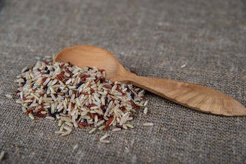 brown rice, mixed wild rice, white (jasmine) rice. species Oryza sativa