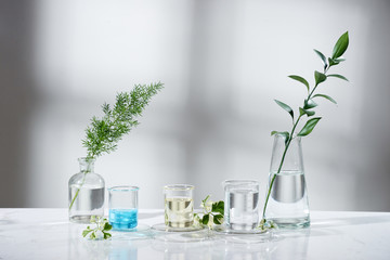 laboratory experiment and research with leaf, oil and ingredient extract for natural beauty and...