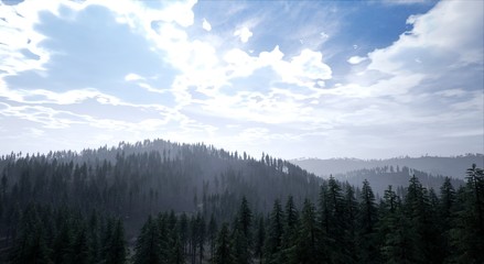 Landscape - View of a forest with clouds and haze at day