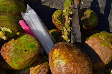 Green Coconuts , plastic straw and coconut cutter. photo in a direct sunlight.
