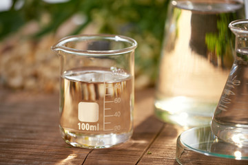 Scientist with natural drug research, Natural organic botany and scientific glassware, Alternative green herb medicine, Natural skin care beauty products, Research and development concept.