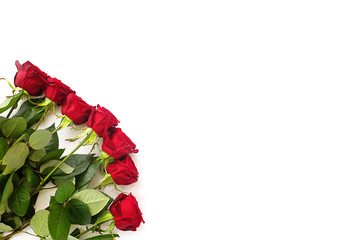 red bright roses on a white background isolate