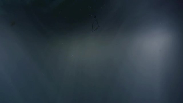 young man is plunging inside sea water, view from below, his glass are diving
