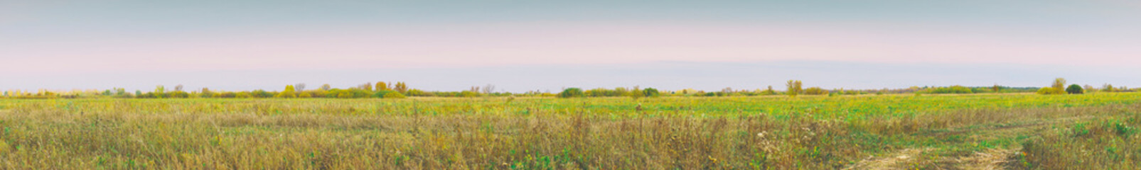 Panorama of a large autumn meadow on cloudy day