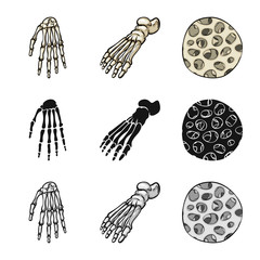 Isolated object of medicine and clinic logo. Set of medicine and medical stock symbol for web.