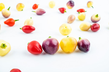 Fresh colorful peppers on white background