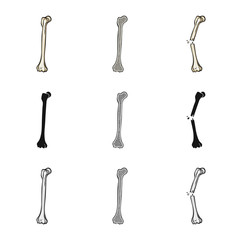 Naklejka premium Vector illustration of medicine and clinic symbol. Set of medicine and medical vector icon for stock.